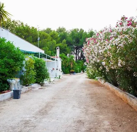 Intera A Casa Noscia Villa San Pietro in Bevagna